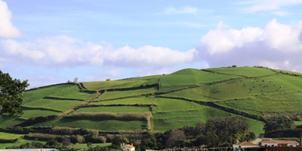 Kikis Azoren Garten Blick auf grüne Hügel
